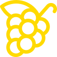 grapes icon